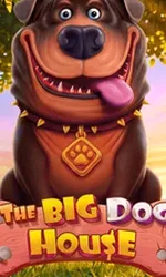 The Big Dog House
