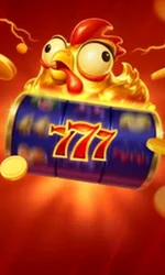 Chicken Coin