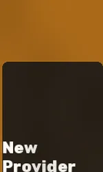 New Provider